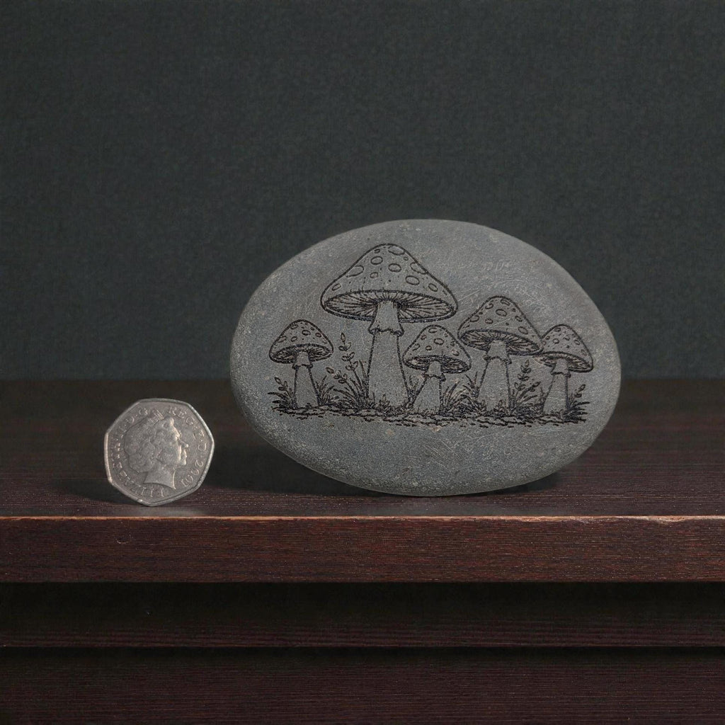 Glass-Etched Toadstool design Stone with Display stand  - custom engraving option
